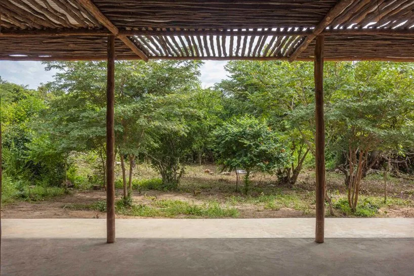 Eco Moyo 2