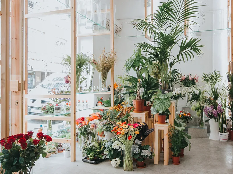Cửa hàng hoa Orchids and Ladders - Nét trong trẻo tưng bừng