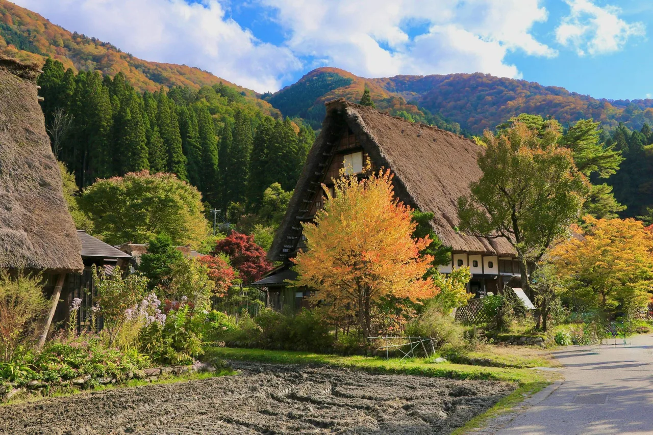 lang co ancient village Ogimachi Shirakawa-Go Nhat Ban