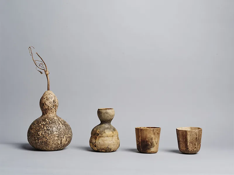The Gourd Project - Trồng ly uống nước