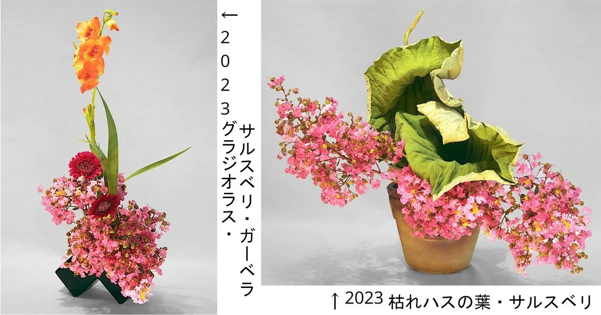 hoa bang lang Lagerstroemia speciosa