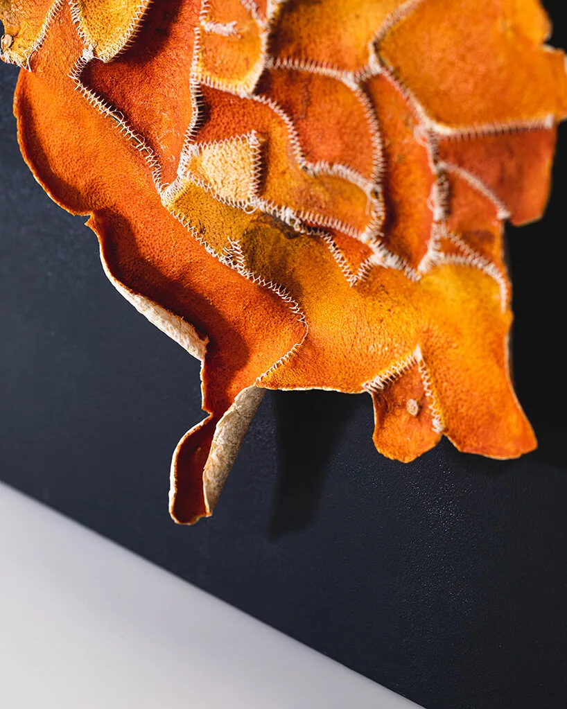 vo cam recycle citrus waste Alkesh Parmar Studio Arp Citrus Sinensis Material Matters