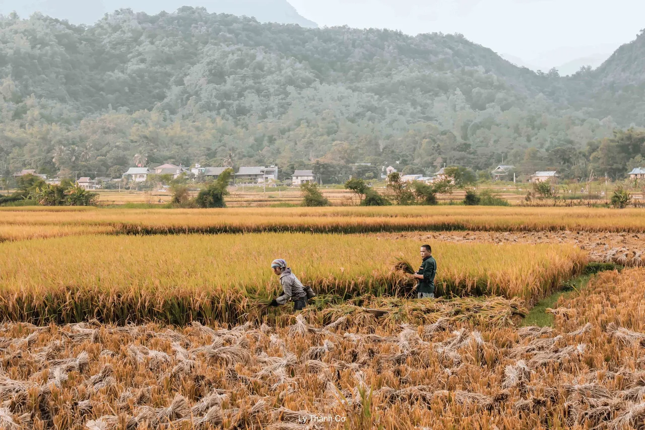 Mai chau du lich tay bac