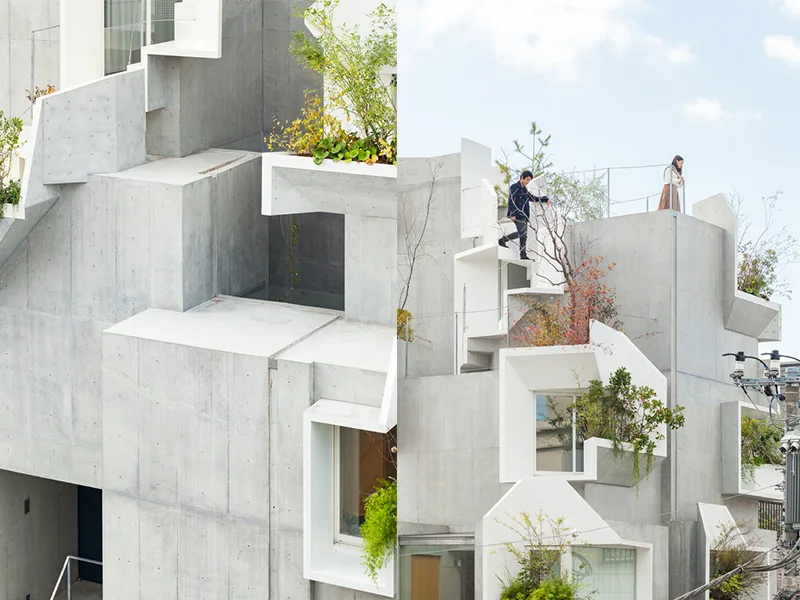 Nhà cây xanh Tree-ness - Diện mạo kiến trúc Nhật đương đại