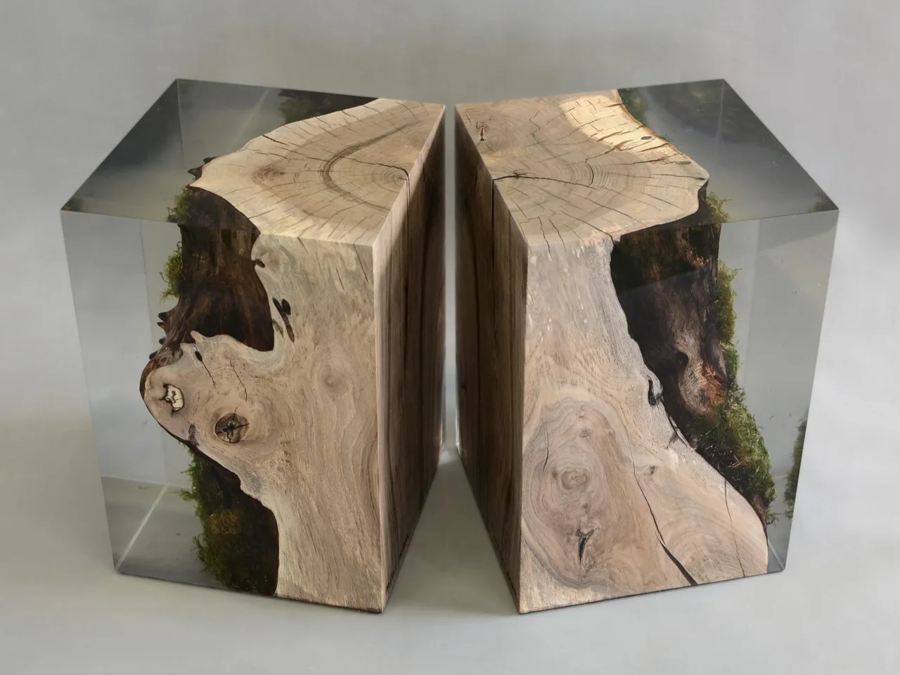 do noi that walnut interior STUMP WALNUT Alcarol