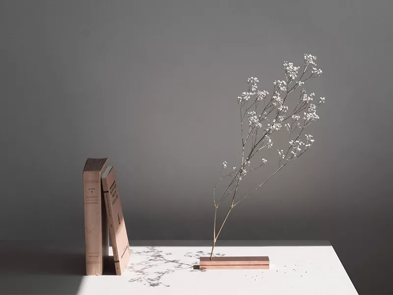 No Vase - Cắm hoa không bình