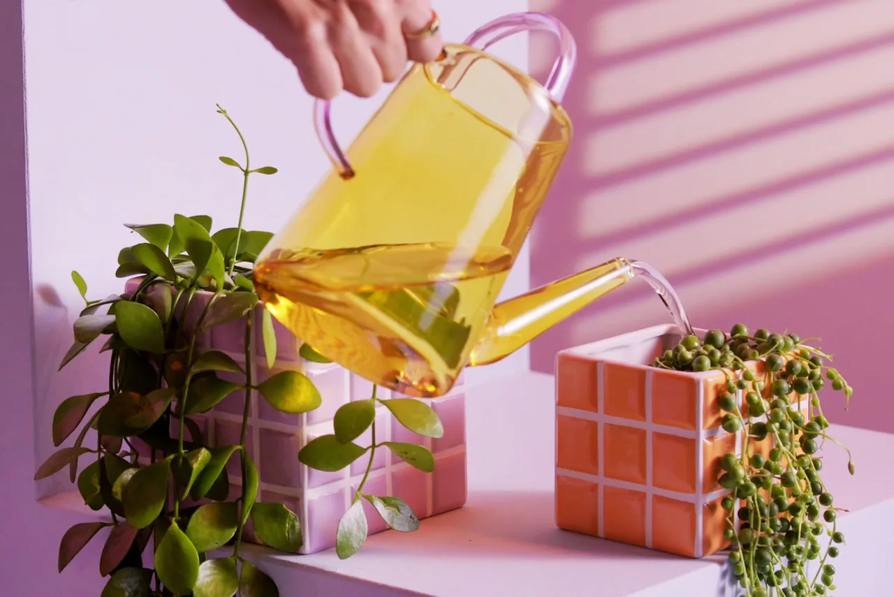 plant pot flower pot Tile & klevering