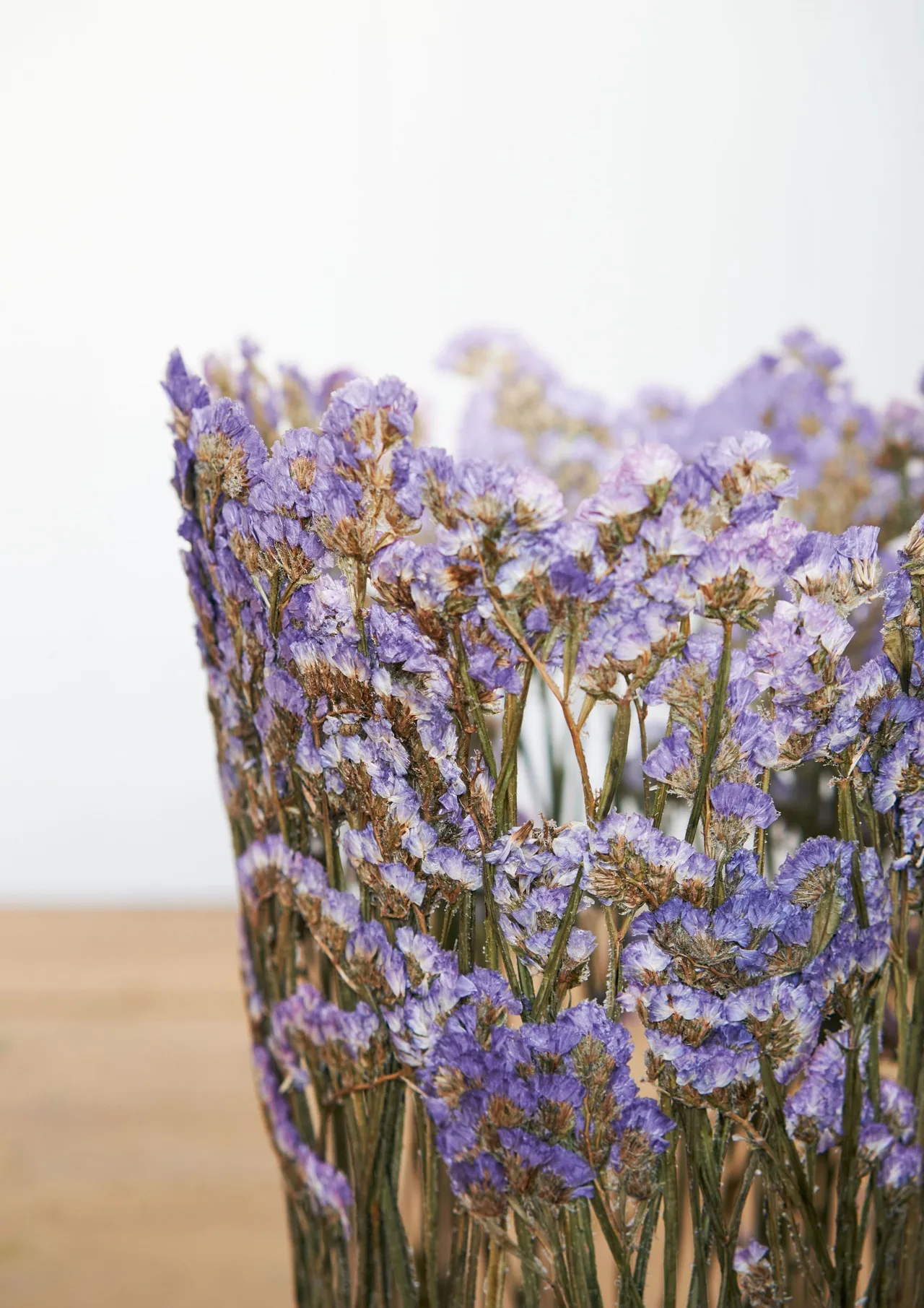 nghe si hoa kho Shannon Clegg Rebecca Louise Law Ignacio Canales Aracil Marcin Rusak