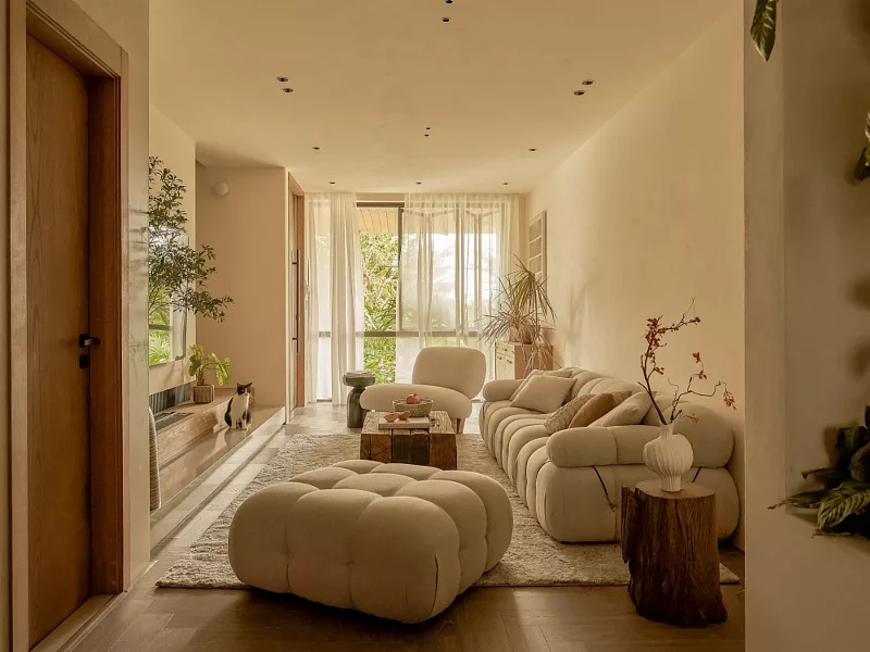 Nhà Bạch Tuộc - Không gian sống đa lớp trong đô thị - TAR.CHITECT