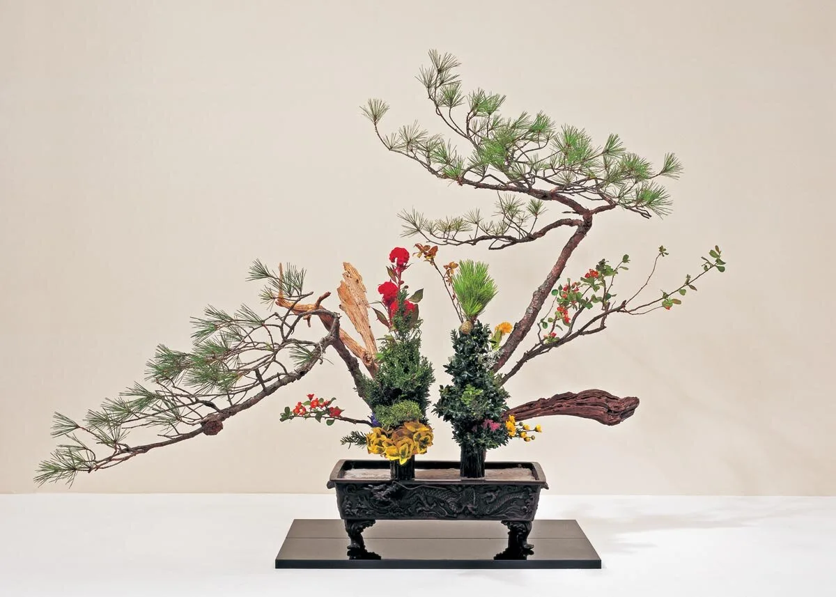 cam hoa ikebana