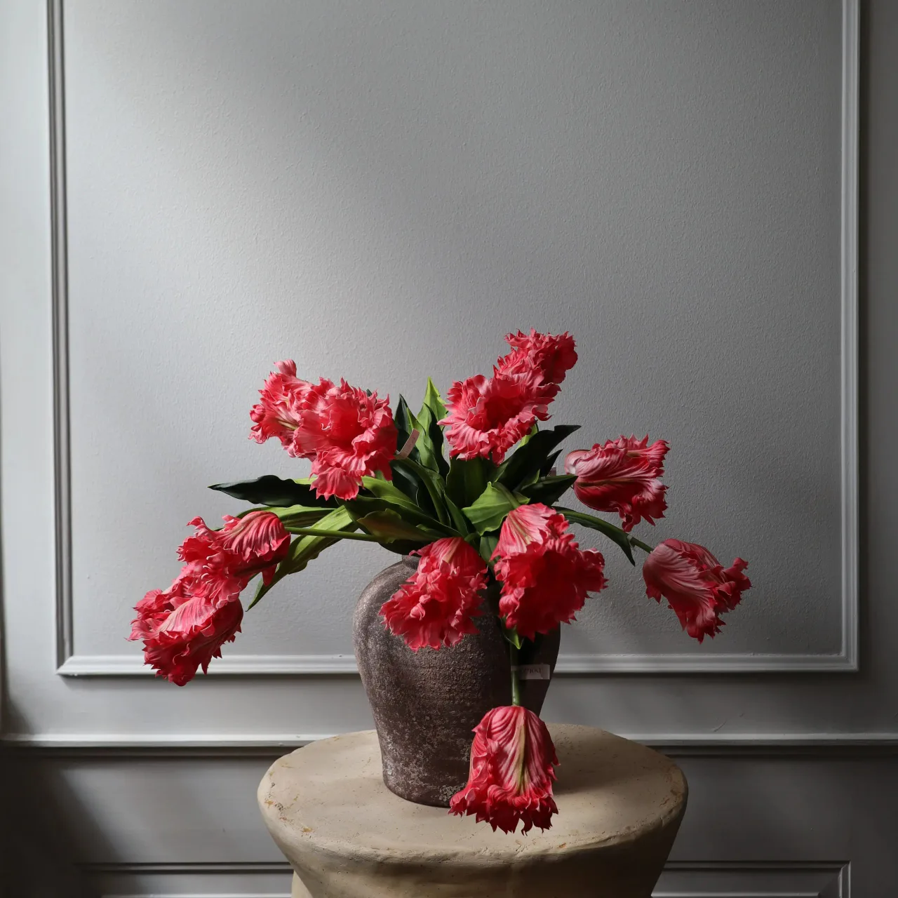 binh hoa tulip vet