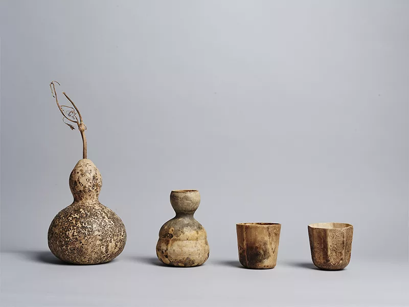 The Gourd Project - Trồng ly uống nước