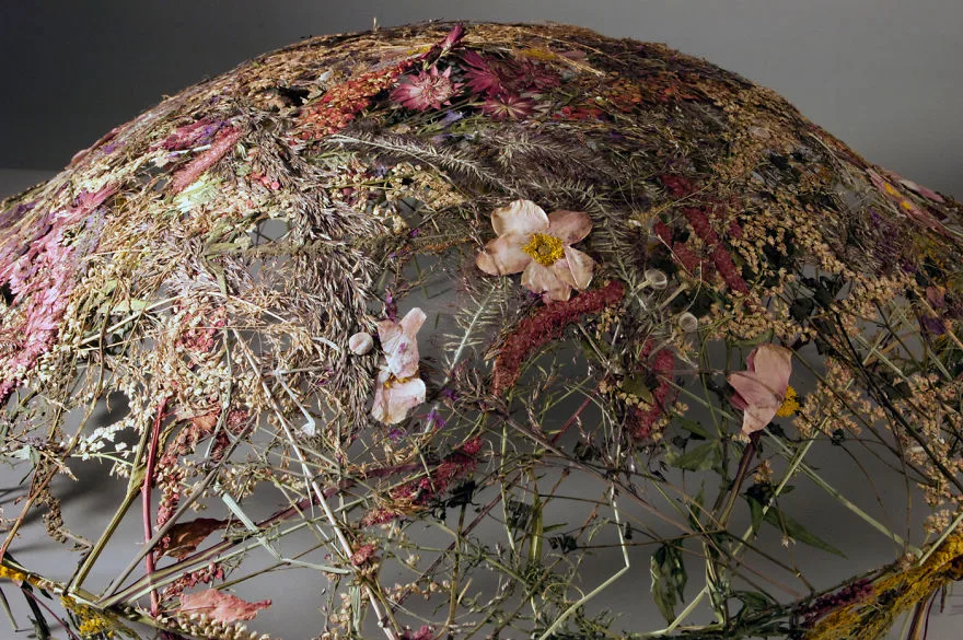nghe si Shannon Clegg Rebecca Louise Law Ignacio Canales Aracil Marcin Rusak