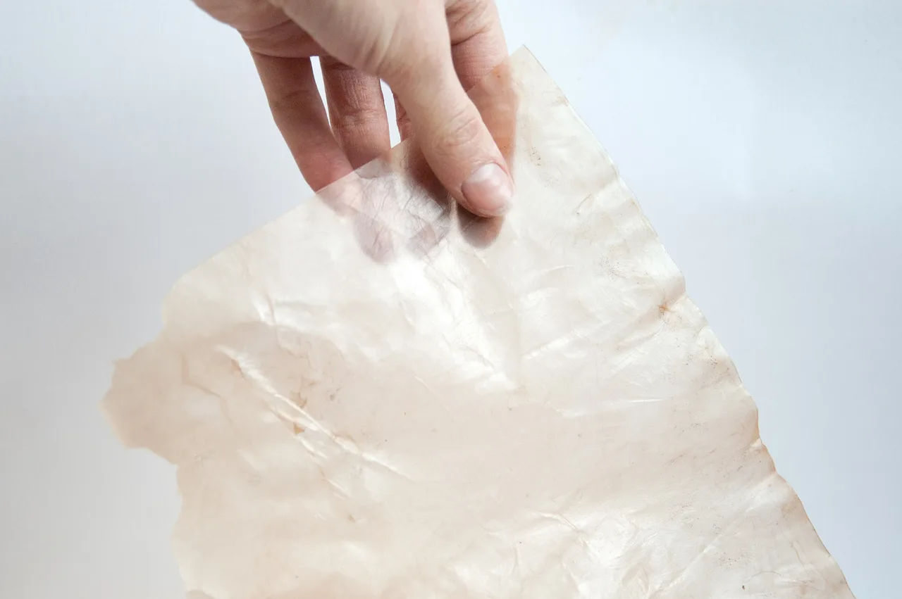 bao bì sản phẩm 2