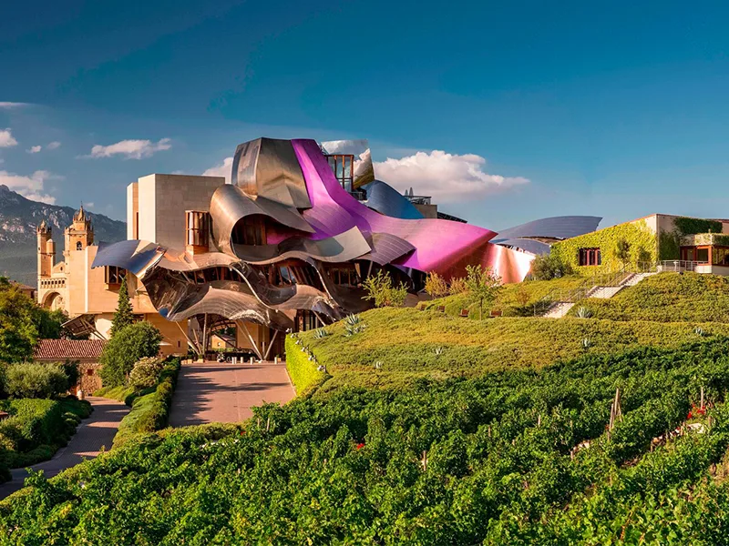 Thưởng Vang và chìm đắm trong kiến trúc độc đáo của Marques De Riscal