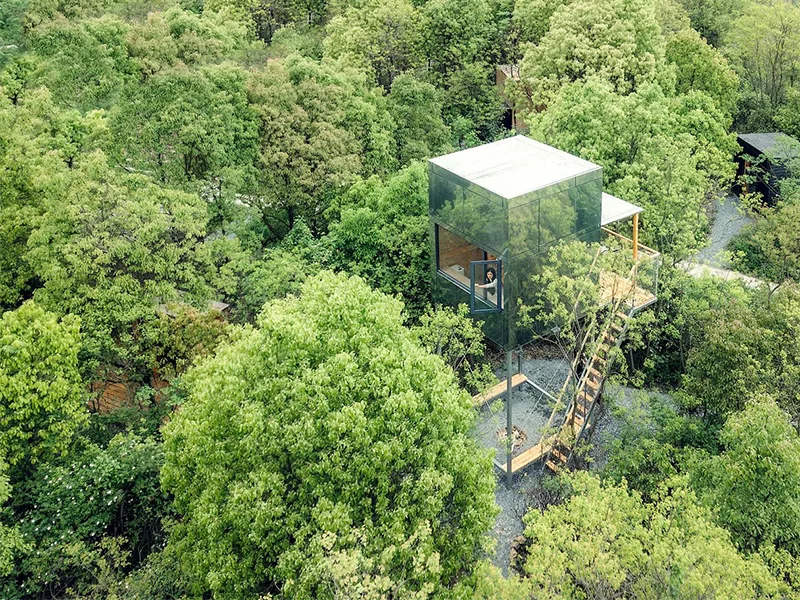 Cabin gỗ mọc giữa rừng xanh