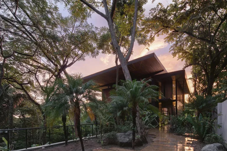 Raintree house saxe