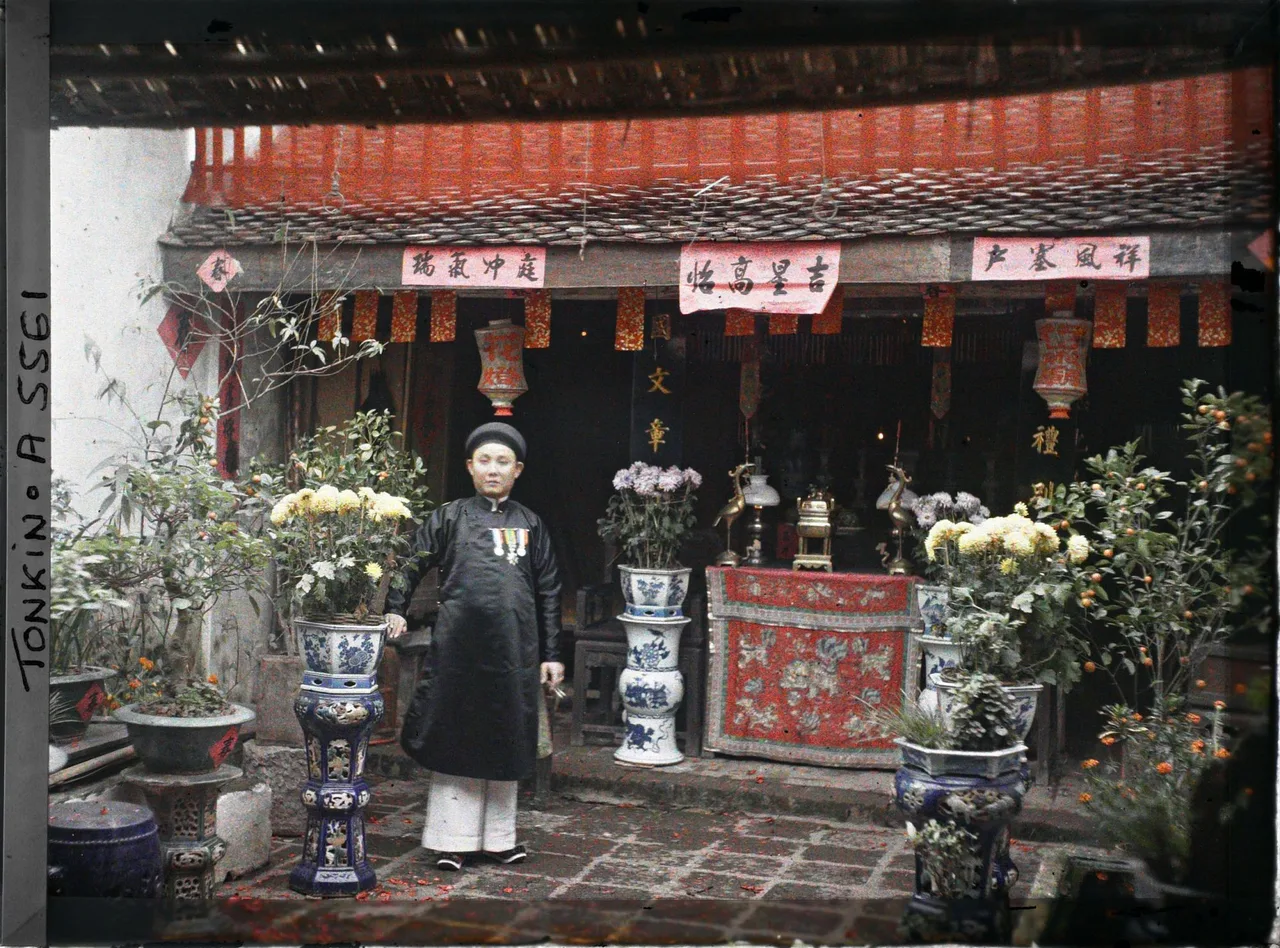 hoa tet ngay xuan