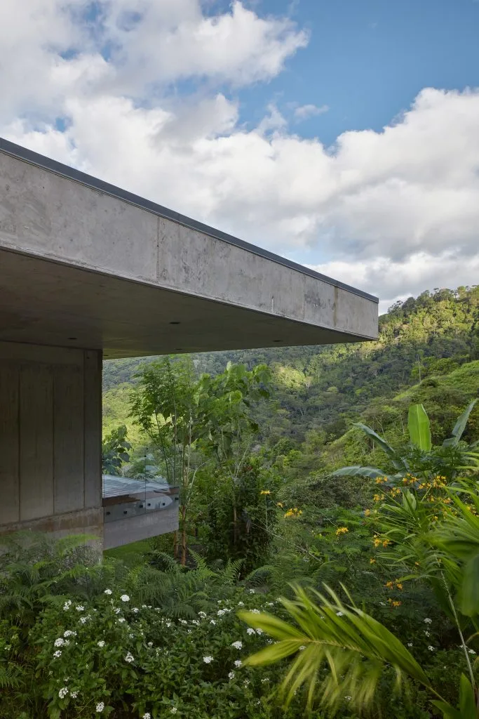 Art Villa 1