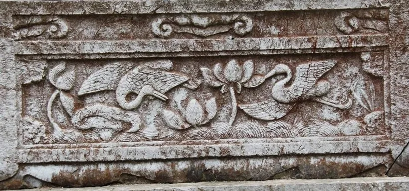 song nuoc hoa sen chim