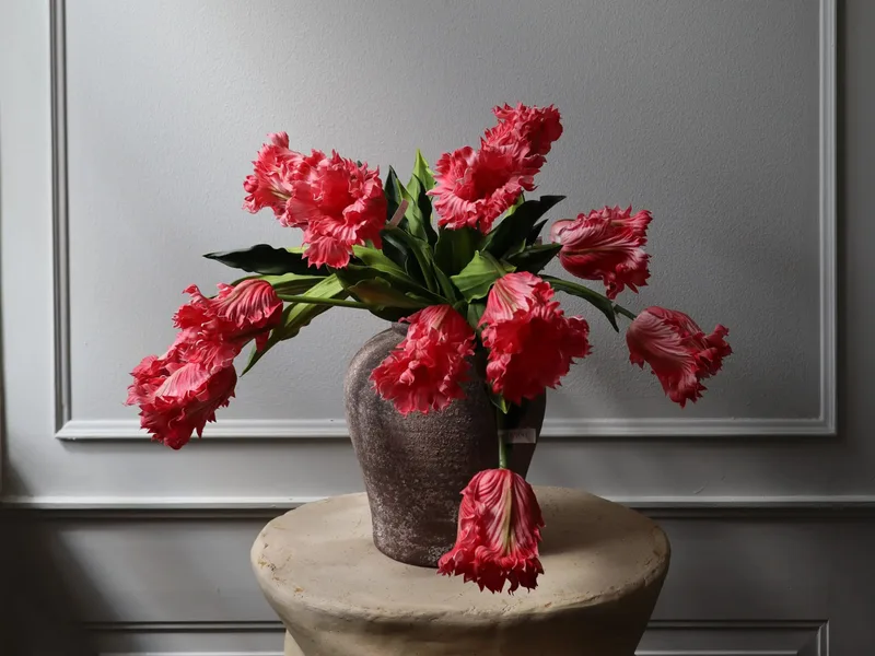 Theo dấu tulip: Từ thảo nguyên Trung Á đến những trang sử vàng son