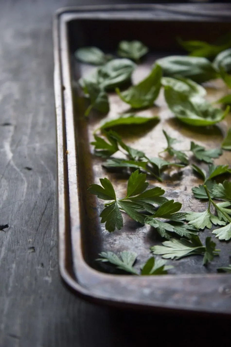 phoi kho bao quan fresh herb dry herb