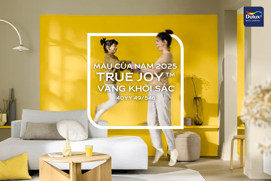 dulux mau cua nam true joy vang khoi sac