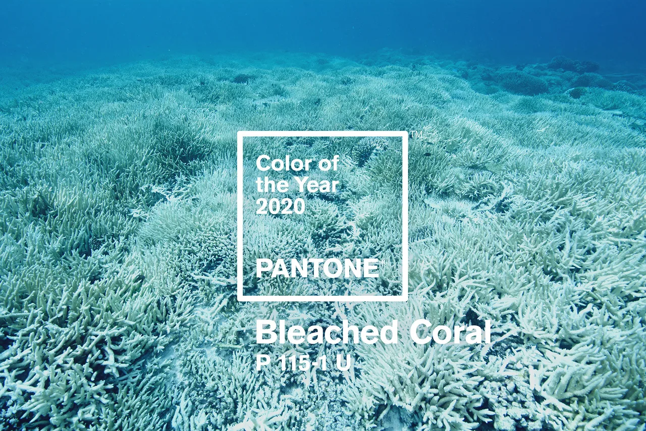 jack-huei pantone 2020 bleached coral elledecoration vn