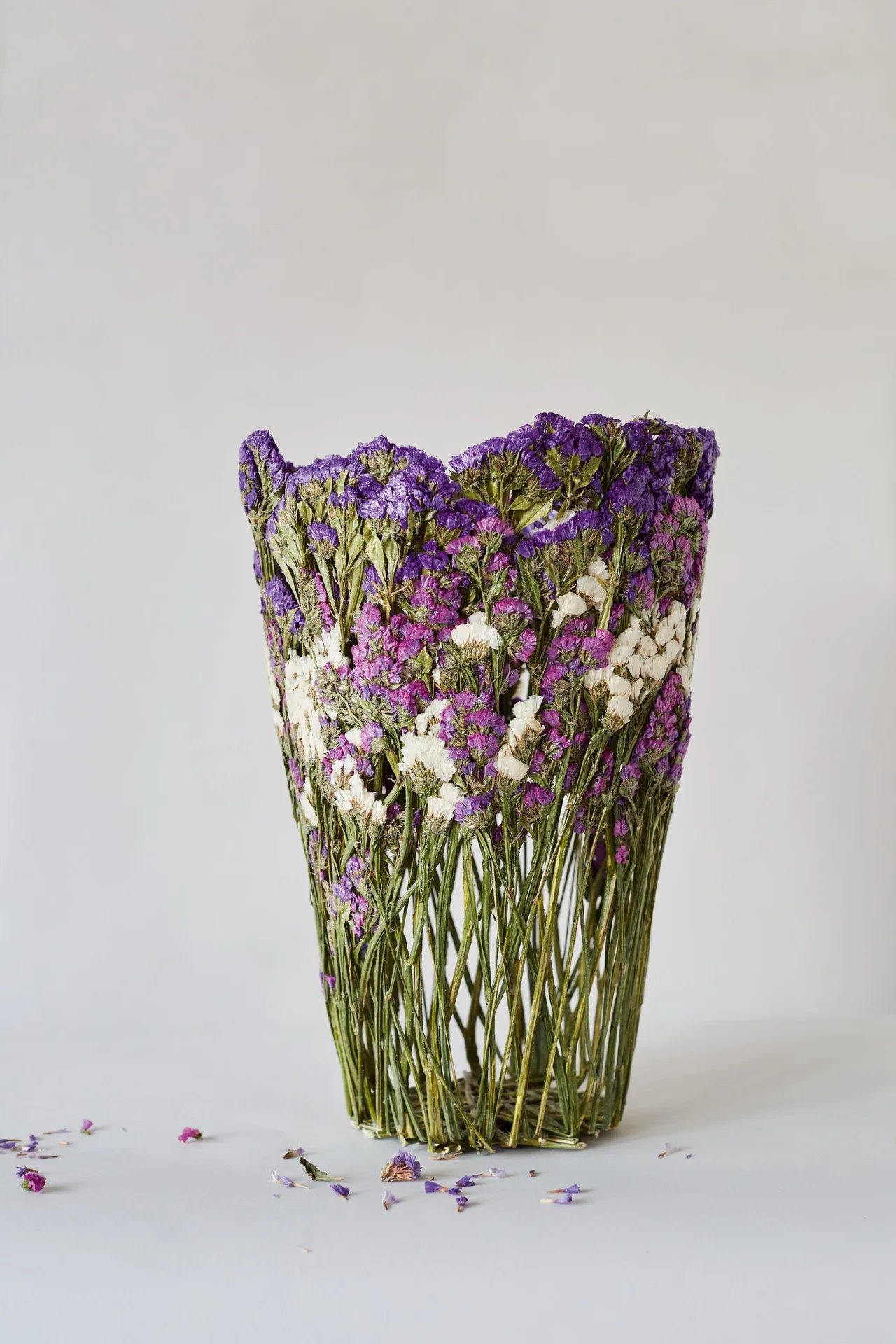 nghe si Shannon Clegg Rebecca Louise Law Ignacio Canales Aracil Marcin Rusak