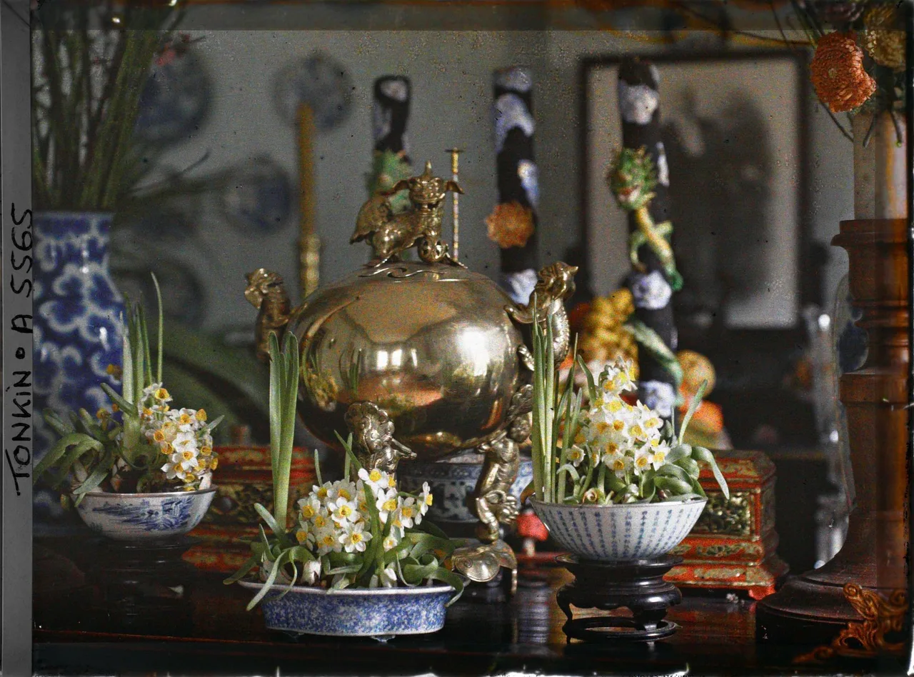 ngay xuan
