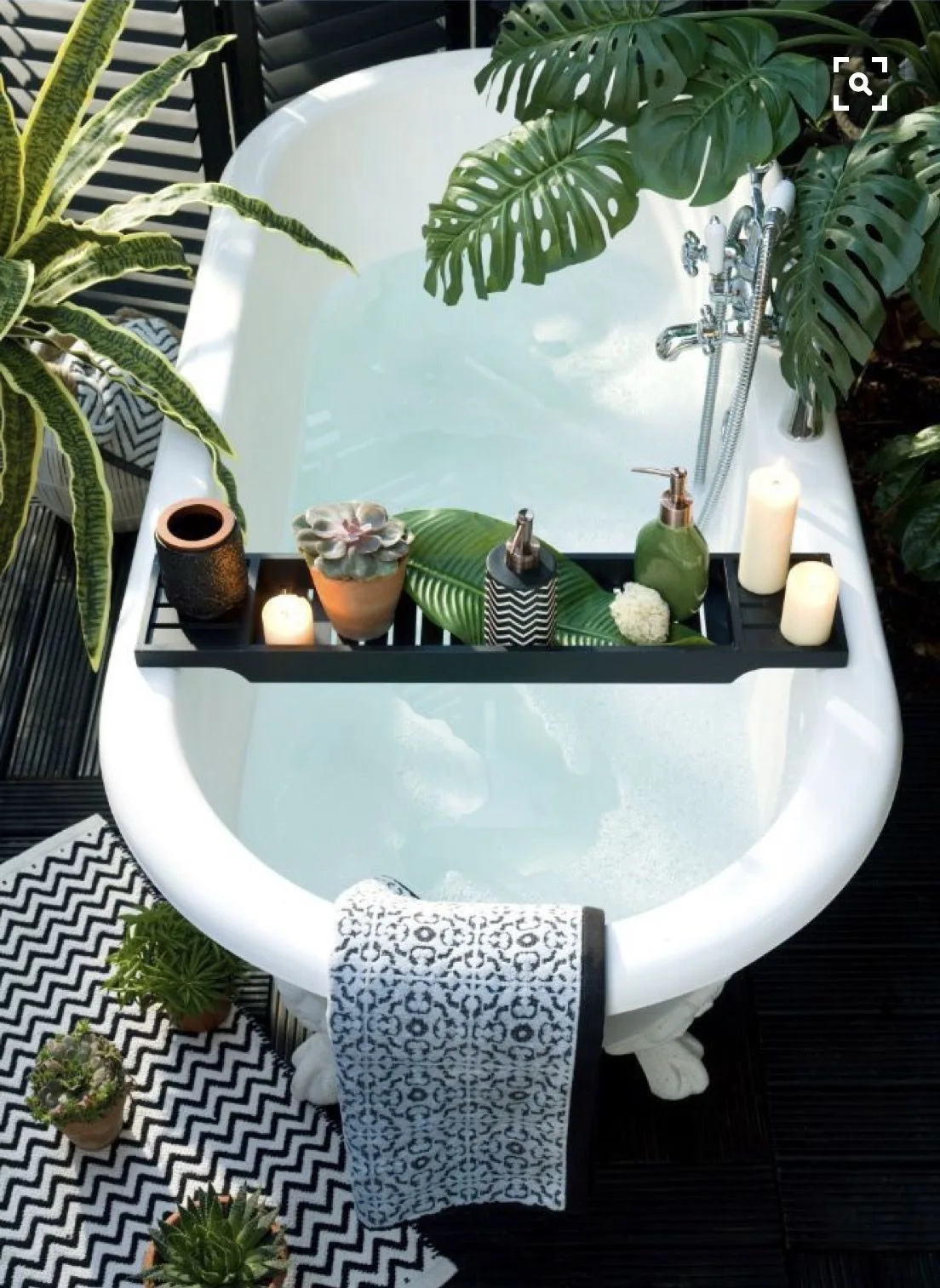 cây cảnh trong nhà-ốc đảo xanh elledecoration vn 5