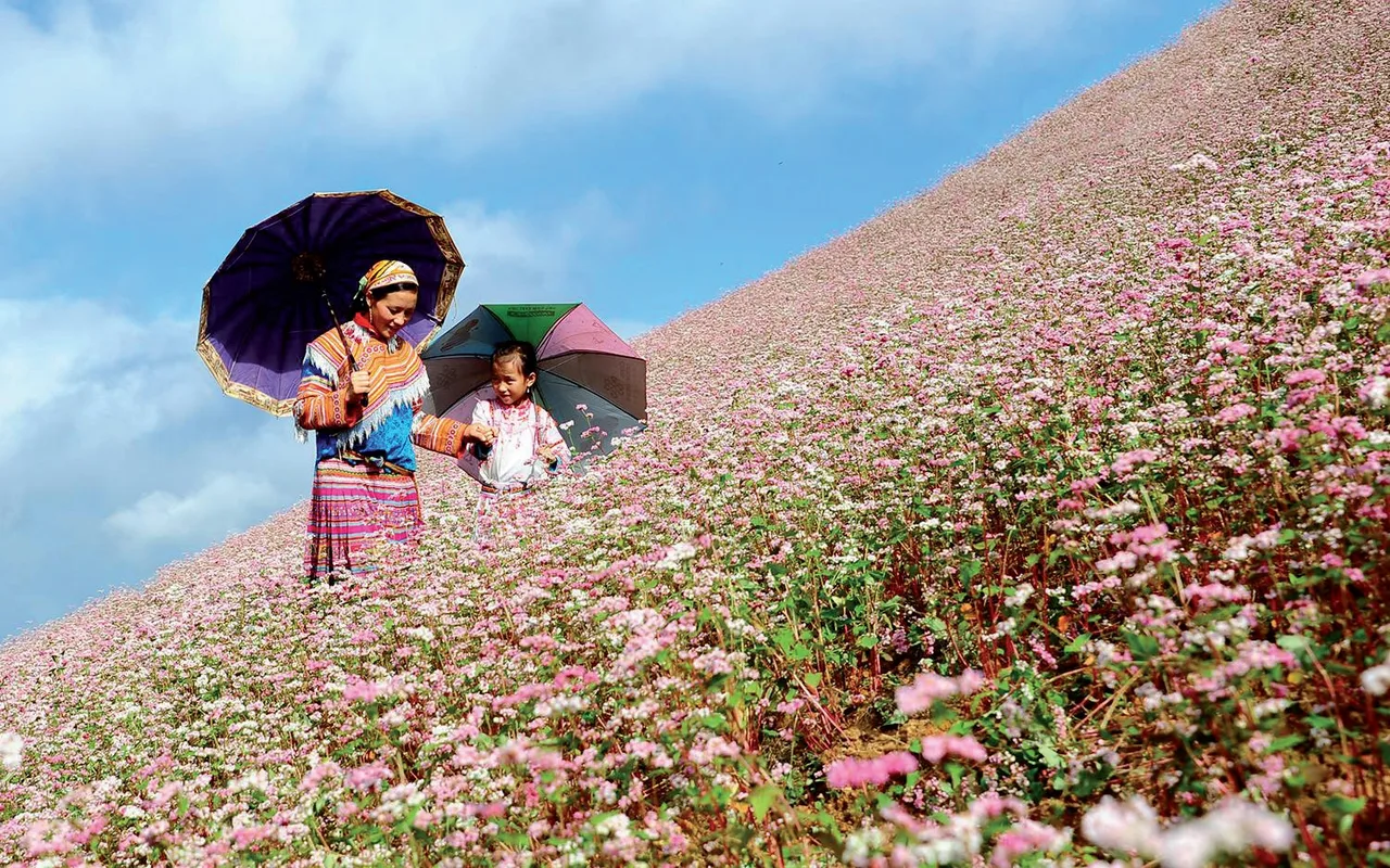 sự kiện nghệ thuật 12