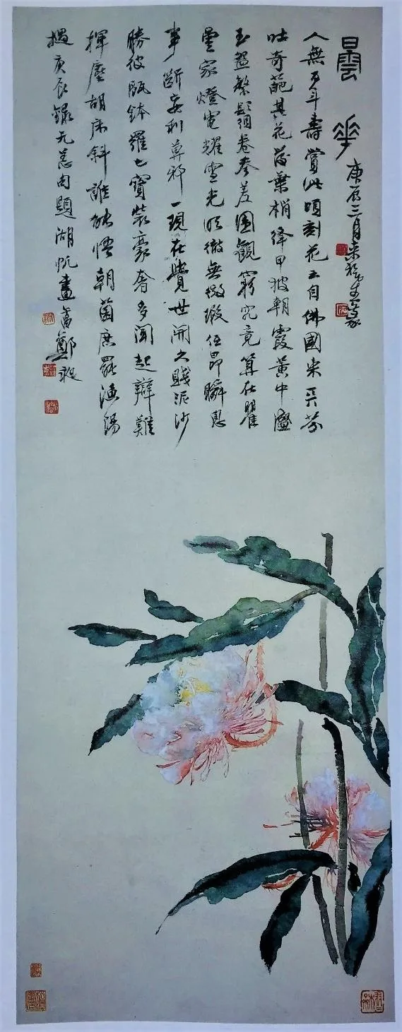 hoi hoa Wu Hufan Night-blooming Cereus