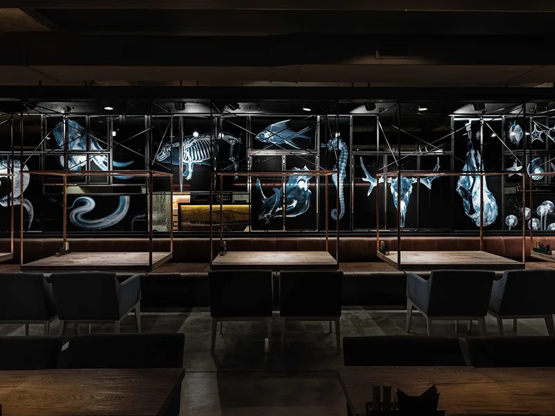 SAZHA Restaurant: Những khoảng tối thi vị