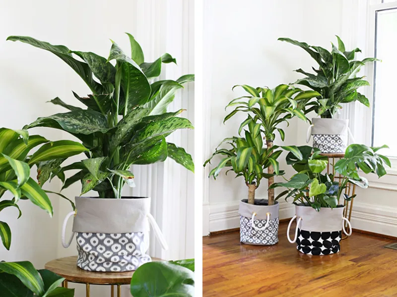 DIY – tự làm chậu cây bằng vải trang trí nhà ở