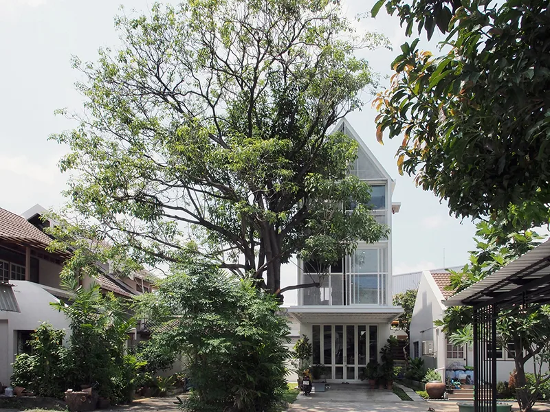 Văn phòng làm việc TA-THA-TA - Thả hồn giữa trong lành