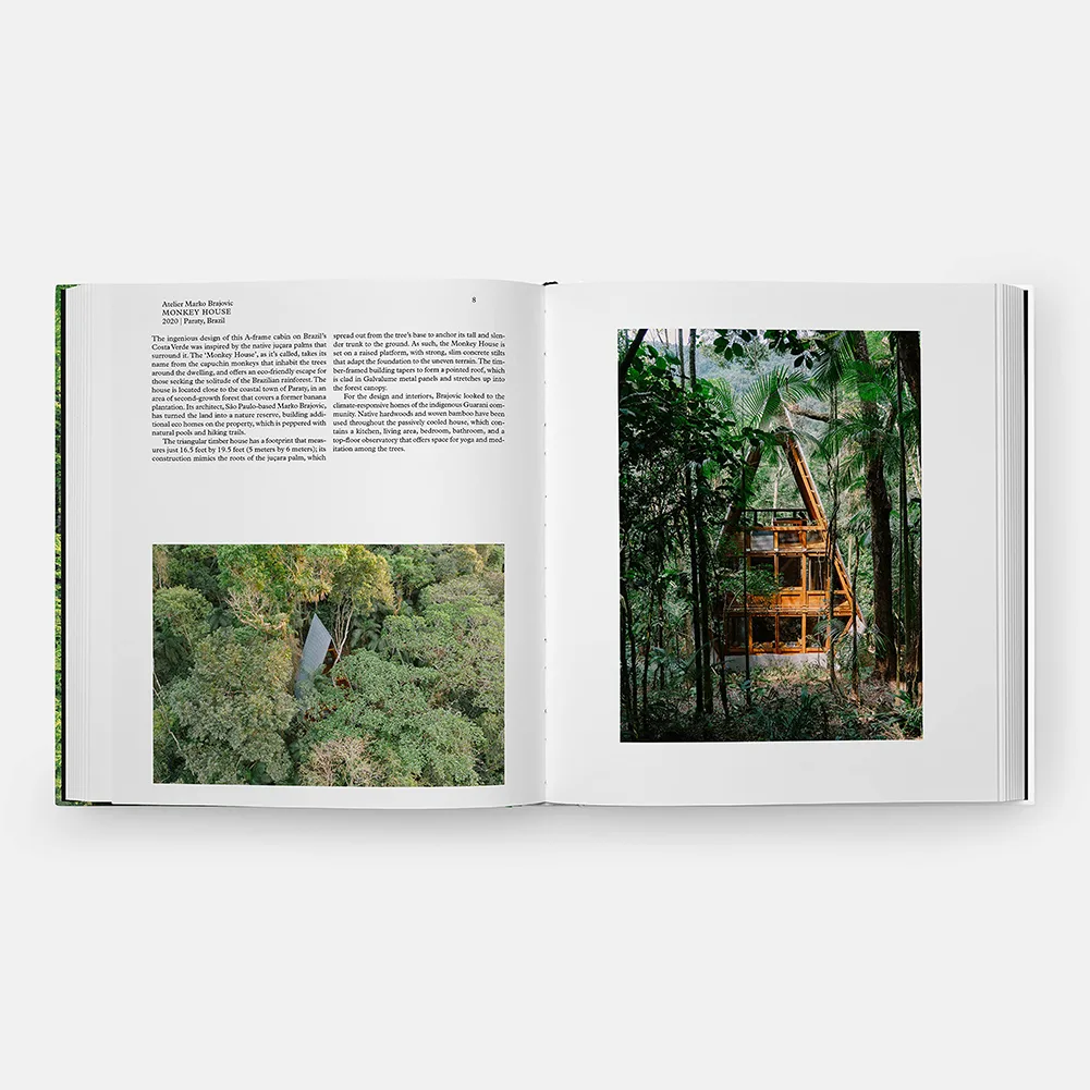 the forest 3