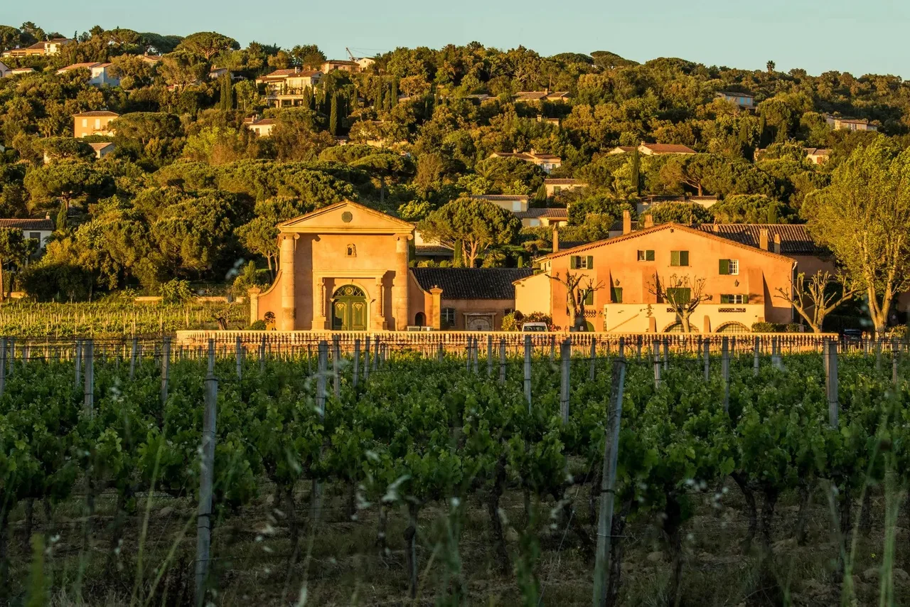Domaine Bertaud Belieu du lich ruou vang