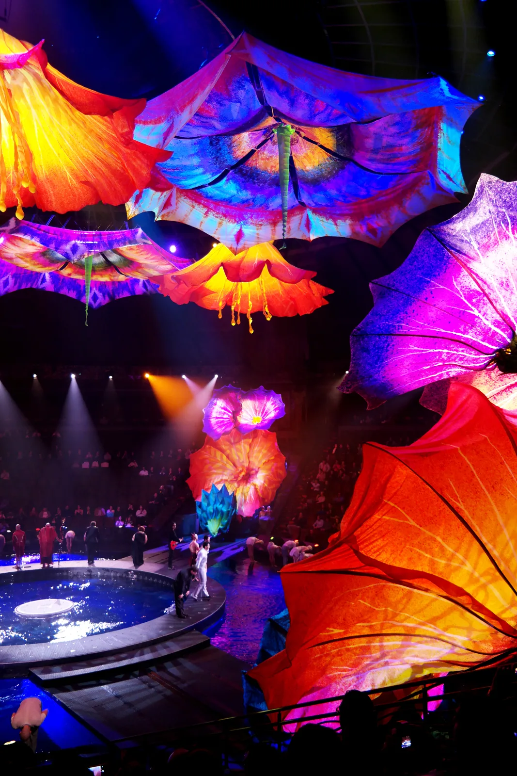 xiec duong dai Corteo Luzia Cirque du Soleil Le Rêve The Dream Franco Dragone Traces Les 7 Doigts de la Main Knitting Peace Cirkus Cirkör vung dat ky bi cong vien gia dinh lang toi my village lune production