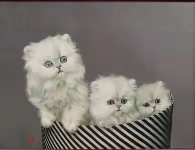 theu hai mat song dien tu To chau