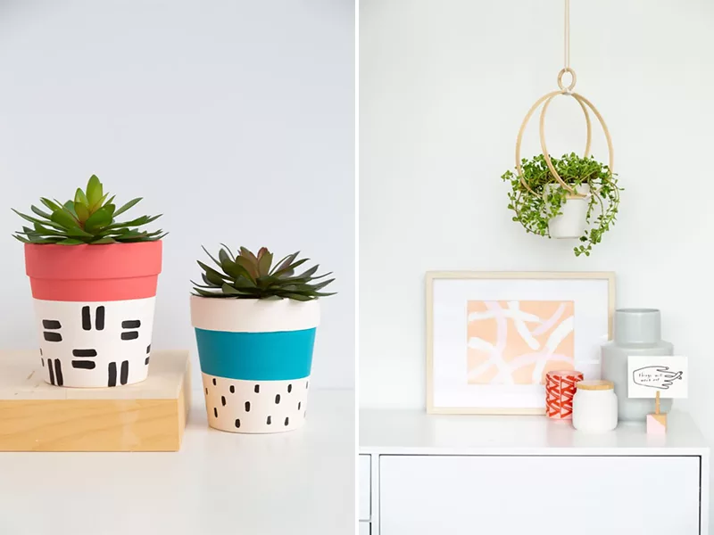 Chậu cây và 4 giải pháp biến tấu dễ dàng