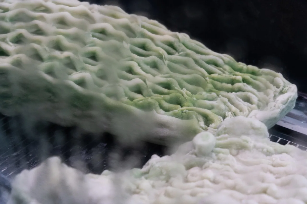 in 3d kien truc vi khuan ben vung Picoplanktonics Venice Architecture Biennale
