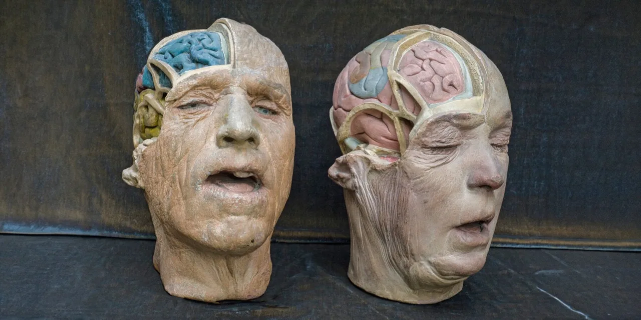trien lam Cabinet of Wonders Wunderkammer Palazzo Grimani Venice