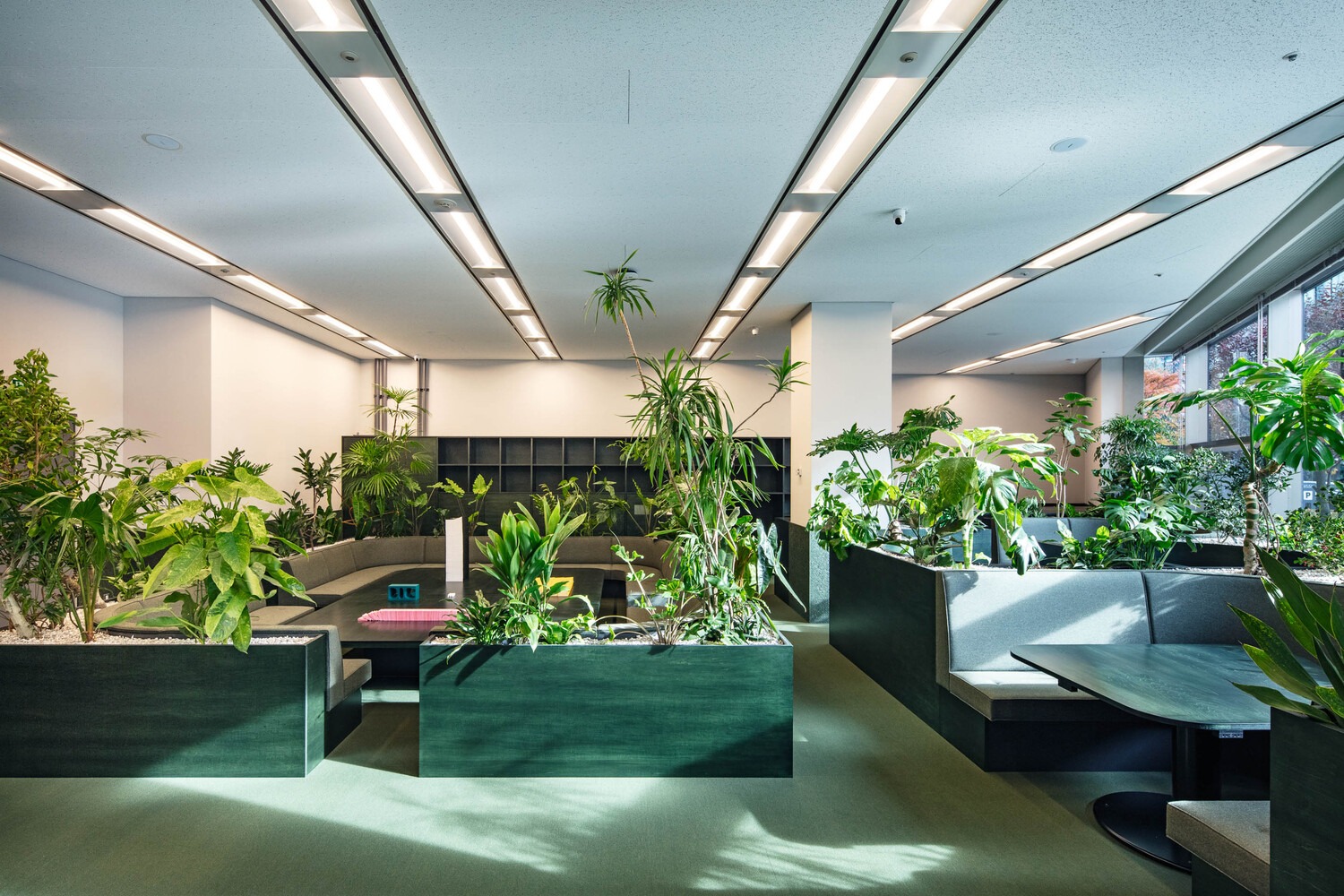 plantscaping noi that canh quan AMRA7 Estúdio Rossi Arquitetos + Piratininga Arquitetos Associados Overlap House Office Sugurufukuda Villa City Story Architecture Ma House Gerira Architects House That Rains Light LIJO RENY architects Prim House Studio Locomotive khach san SHIROIYA Sou Fujimoto Architects KOKUYO DIG DDAA + KOKUYO AM House Horma Iturbide Studio Taller de Arquitectura Mauricio Rocha + Gabriela Carrillo