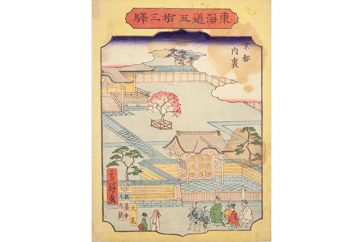hoa anh dao 桜 Sakura nhat ban