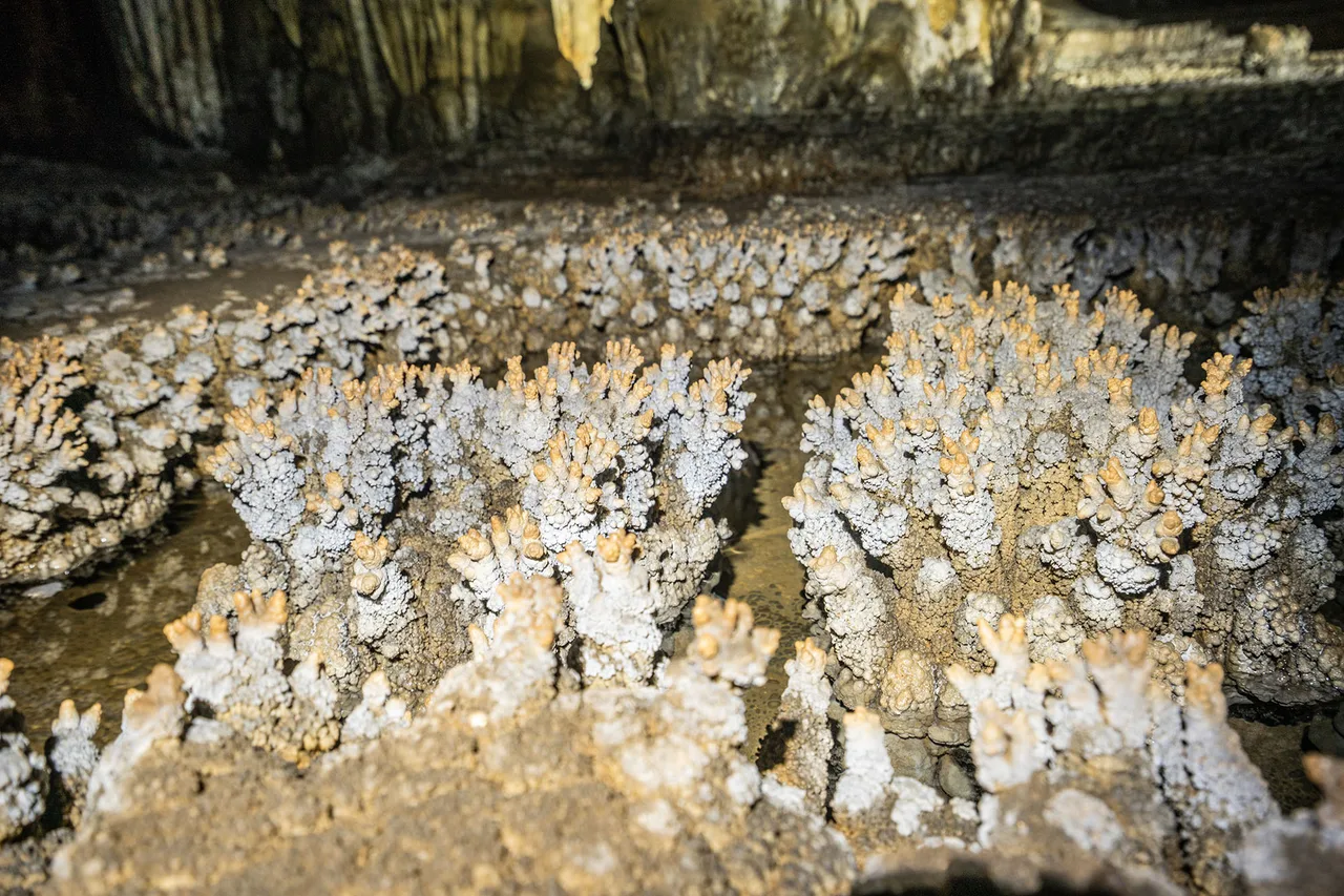 hang dong tu lan quang binh