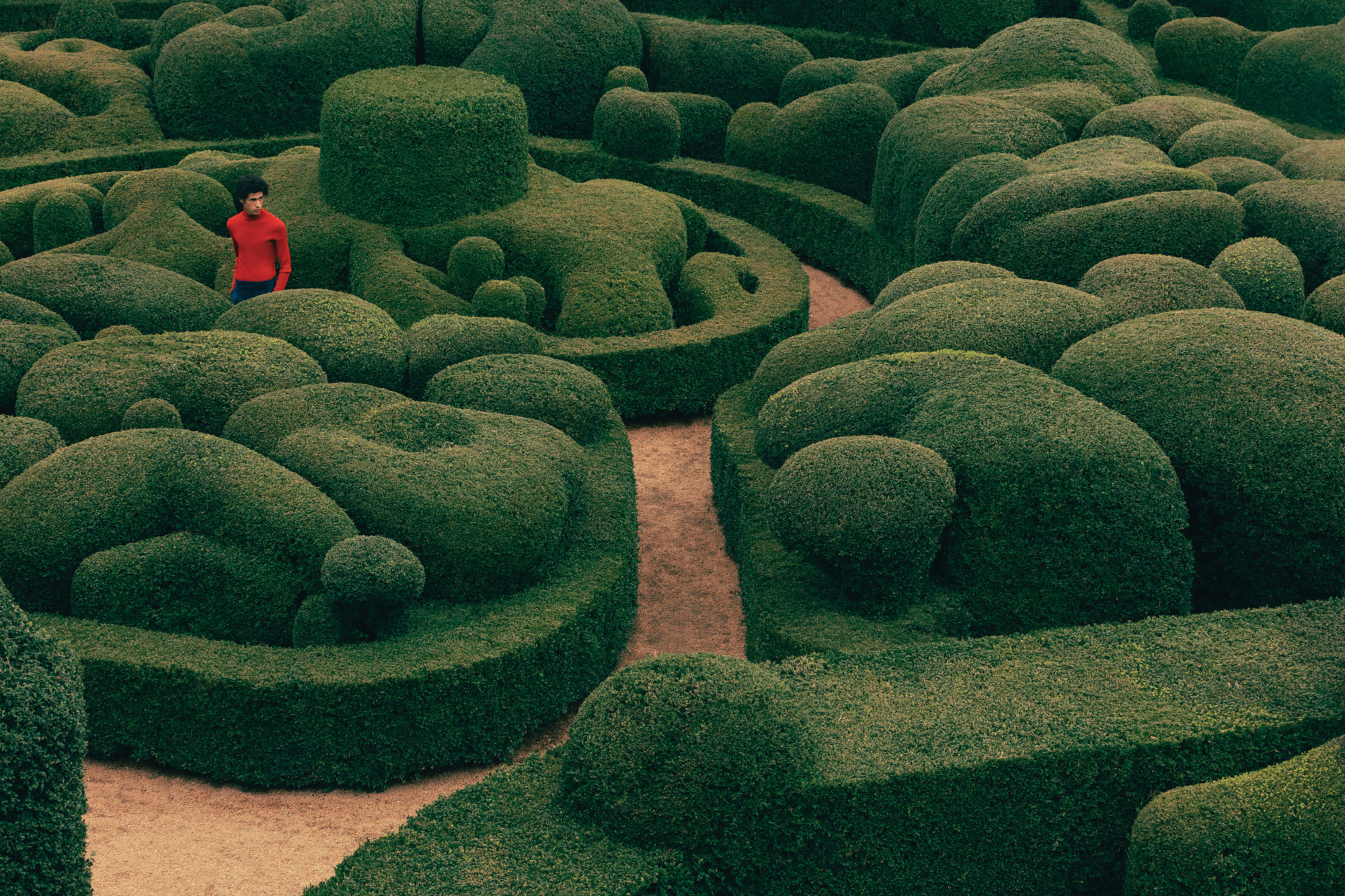 Triển lãm “Garden Future”: Những khu vườn của quá khứ và tương lai
