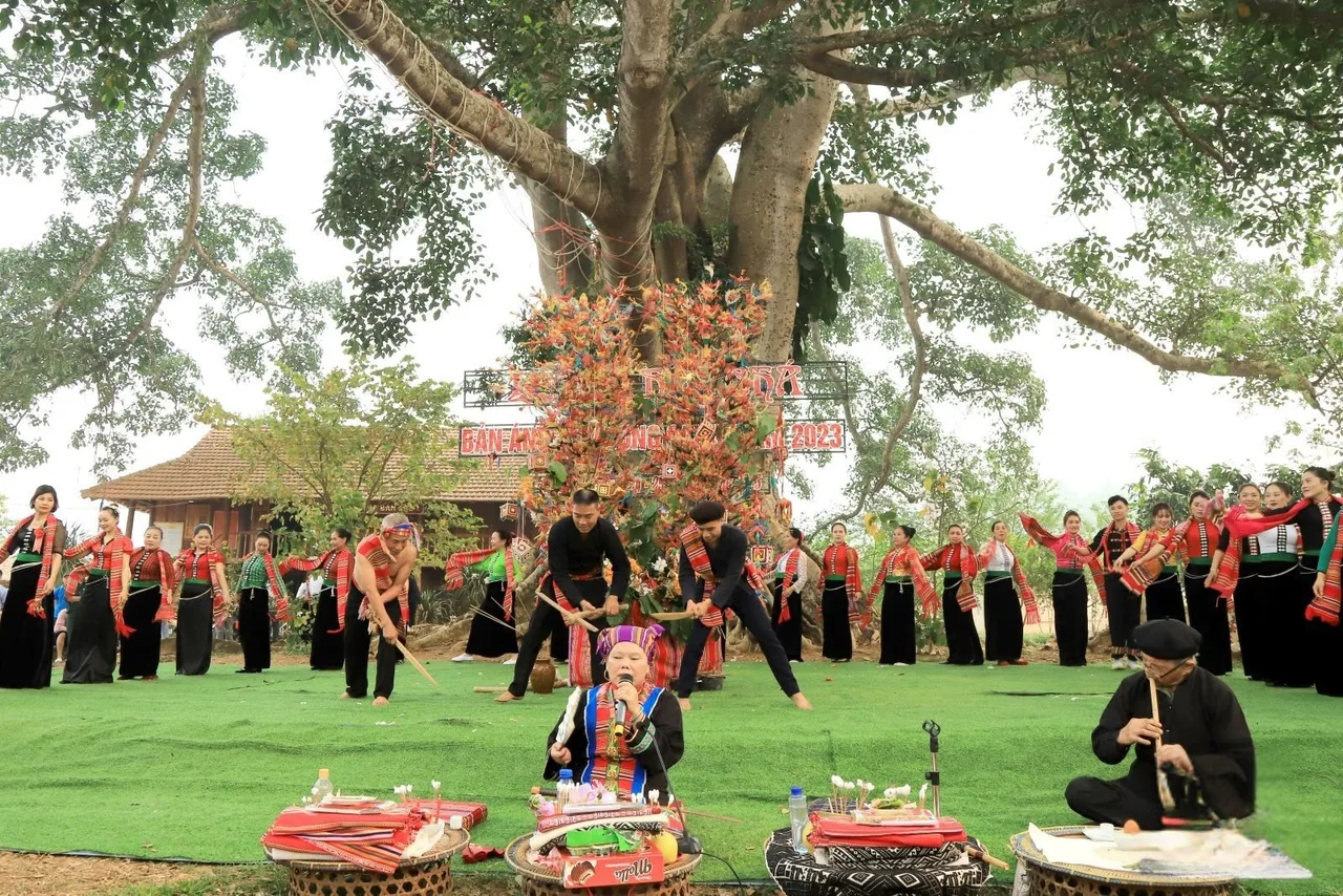 tra cao nguyen le hoi cau mua