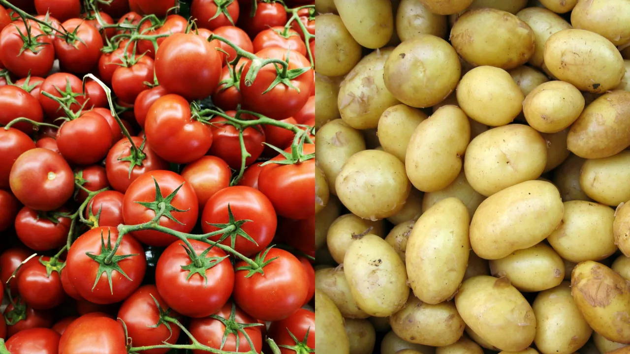 ca chua khoai tay tomatoes potatoes