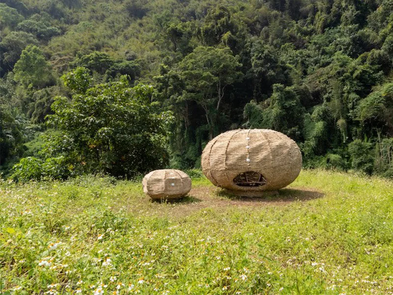 Tea Nest - Lều thưởng trà giữa đồng cỏ